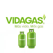 Logotipo de Vidagas, empresa que ha confiado en Asellerator